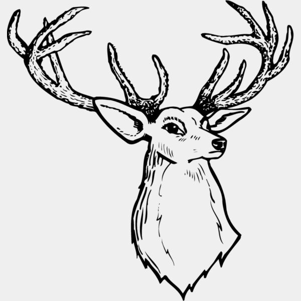 DEER008 Thumbnail