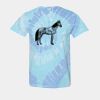 Multi-Color Spiral Tie-Dyed T-Shirt Thumbnail